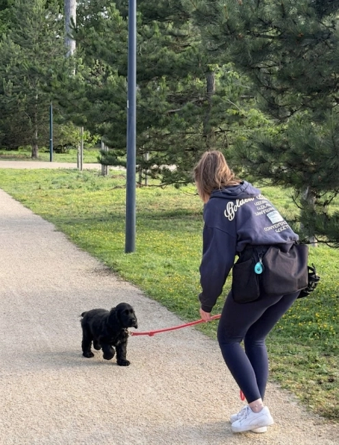 Education d'un chiot après adoption à Versailles